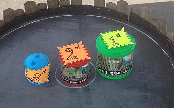 Purple Ape - Hermit Crab Race Prizes