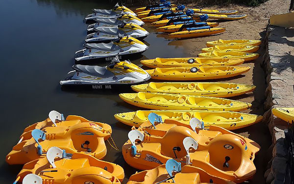 Purple Ape - water sports rentals